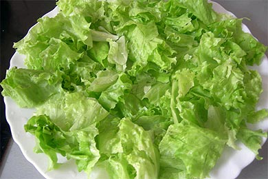 Все стихи про салат зелёный и прочую еду
